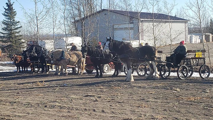 Wagons, Horses and Riders