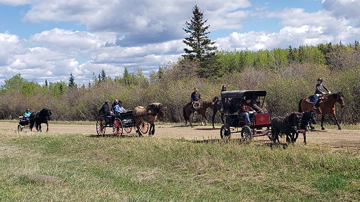 Wagons, Horses and Riders