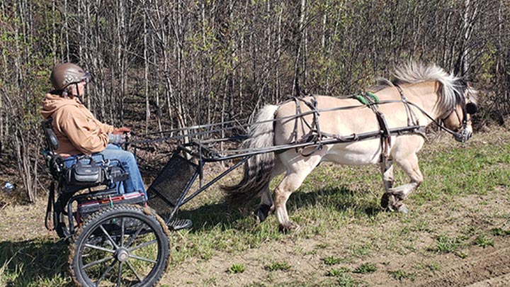 Wagons, Horses and Riders