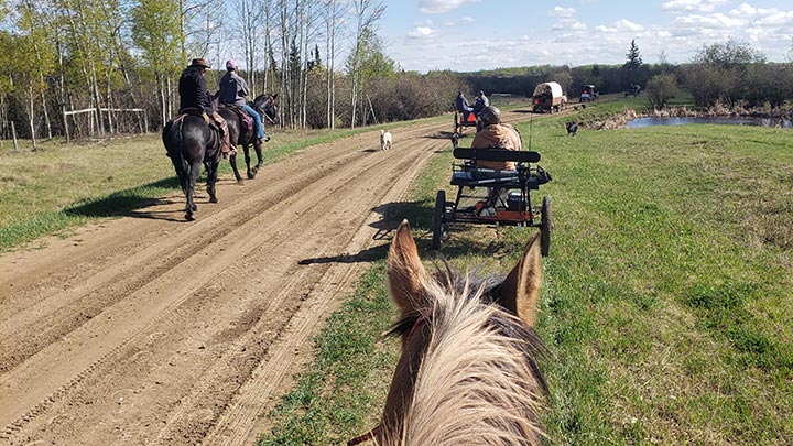 Wagons, Horses and Riders