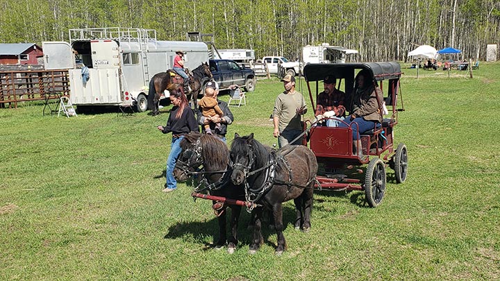Wagons, Horses and Riders