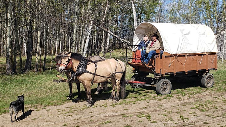 Wagons, Horses and Riders