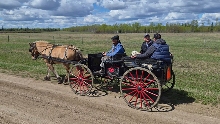 Wagons, Horses and Riders