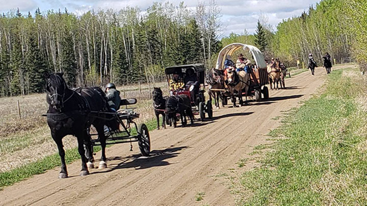 Wagons, Horses and Riders
