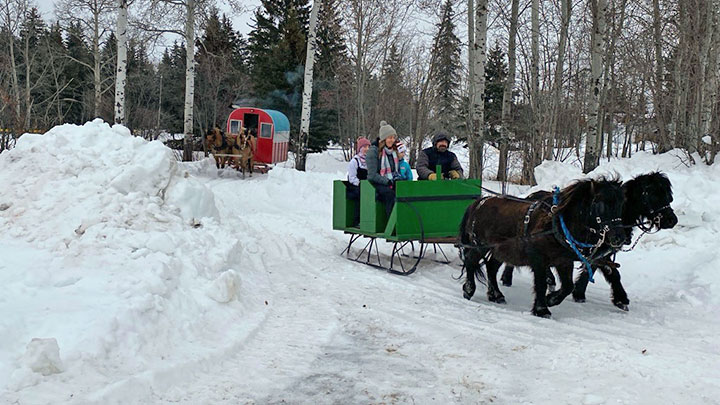 Wagons, Horses and Riders