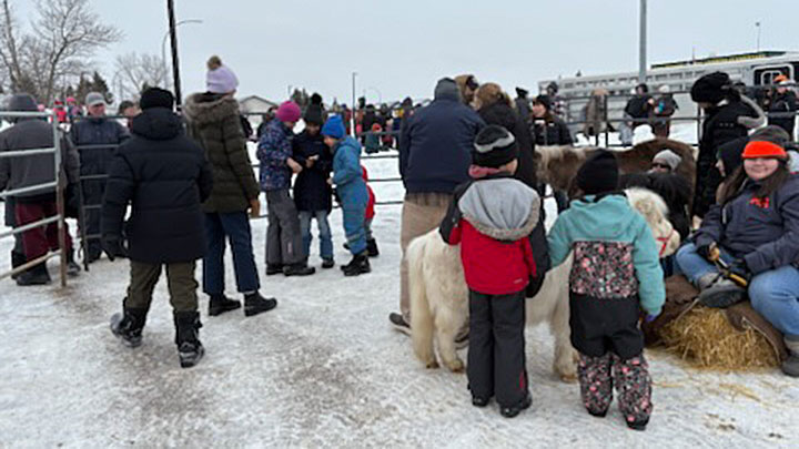 Wagons, Horses and Riders