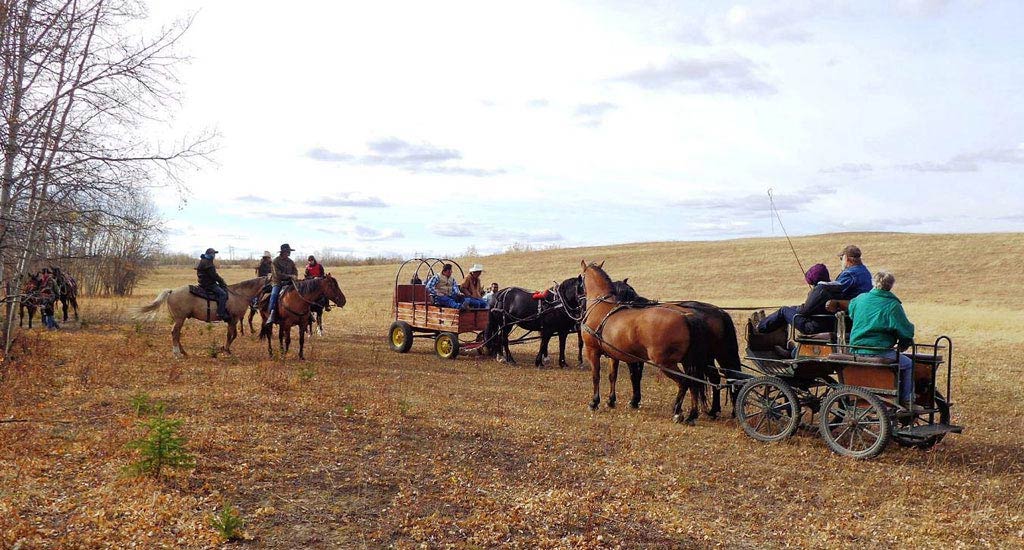 Teams and Riders in Fall Field