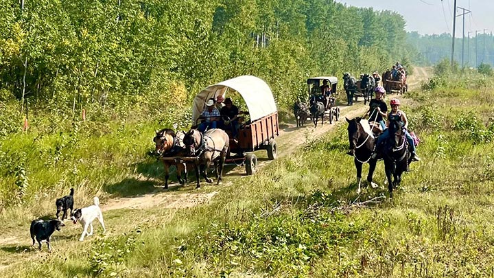 Wagons, Horses and Riders