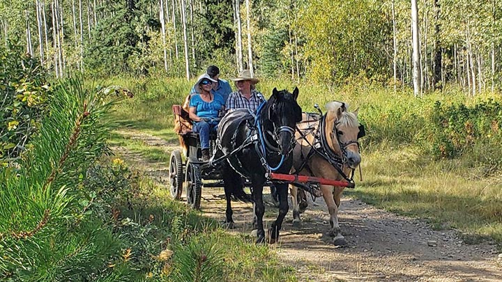 Wagons, Horses and Riders