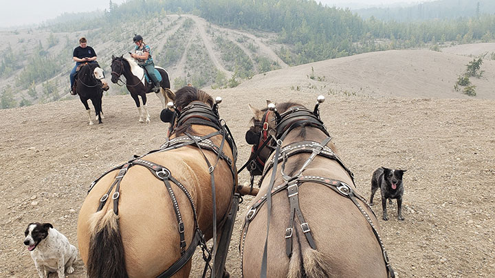 Wagons, Horses and Riders