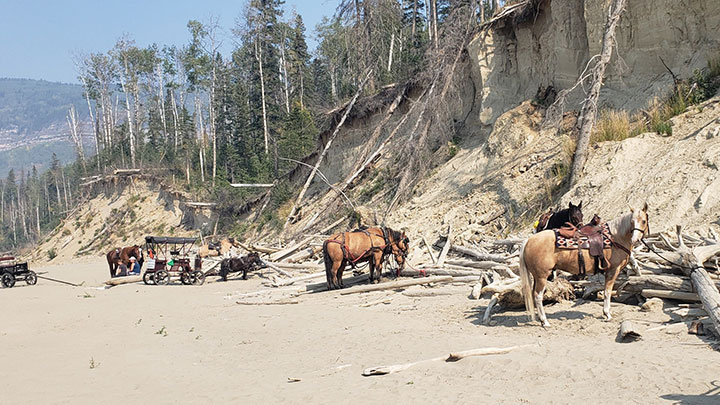 Wagons, Horses and Riders