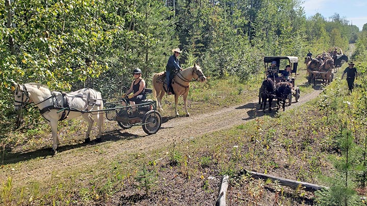 Wagons, Horses and Riders