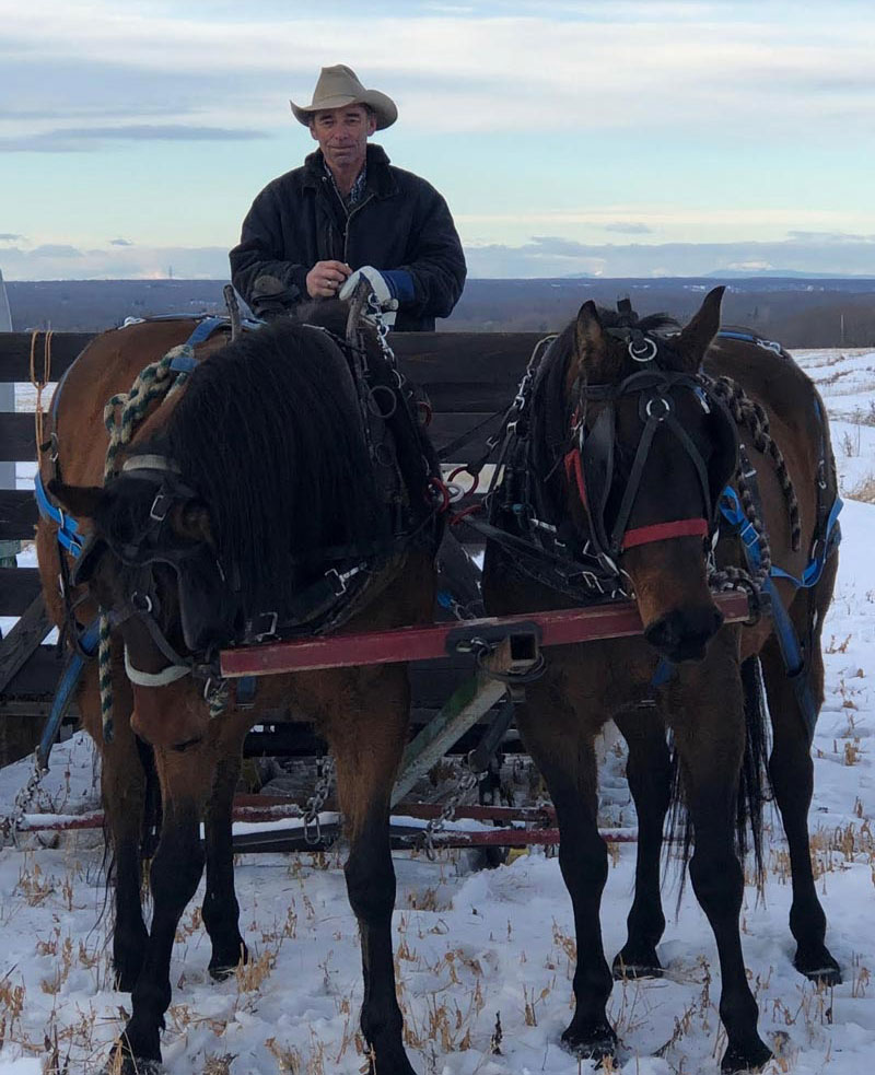 Cowboy with Horse Team